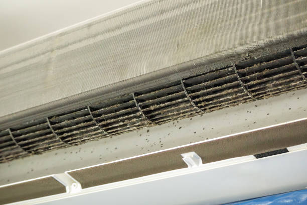 Best Emergency Air Duct Cleaning  in Taylors, SC