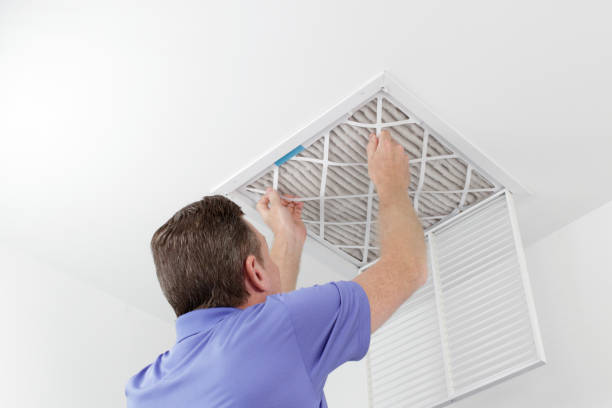 Best Air Duct Sanitizing Services  in Taylors, SC
